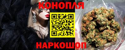 мдпв Партизанск